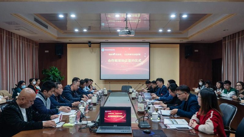 直播代运营许可证：合规之路上的关键步骤